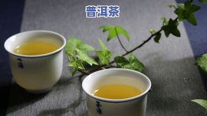 喝普洱茶用什么材质的杯子更好，探讨普洱茶的更佳饮用杯——揭秘更优材质选择