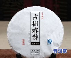 普洱茶的外包装视频介绍-普洱茶的外包装视频介绍大全