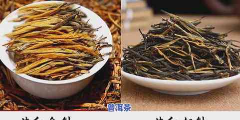 龙珠普洱茶咋样泡才好喝-龙珠普洱茶咋样泡才好喝呢