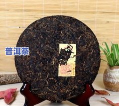 中茶普洱茶熟茶什么型号好-中茶普洱茶熟茶什么型号好?