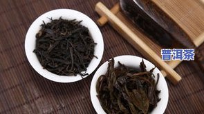 中茶普洱茶熟茶什么型号好-中茶普洱茶熟茶什么型号好?