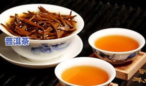 滇红大金针是红茶吗？红茶、绿茶还是白茶？