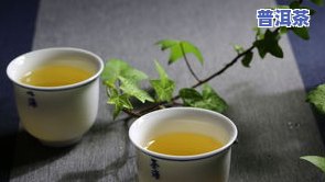 怎么挑选普洱茶的好坏图片-怎么挑选普洱茶的好坏图片大全