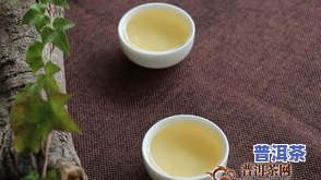 普洱茶三级的怎么样，品鉴普洱茶：三级茶叶口感如何？