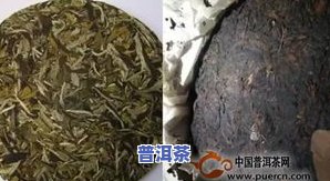 普洱茶是茶人终结者吗为什么，探讨普洱茶是否是茶人的终结者？原因何在？