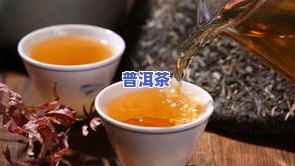 云尚普洱茶，品味云端之上的香醇：云尚普洱茶的魅力探索