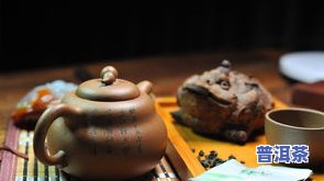 圣木普洱茶，探寻神秘的圣木普洱茶：一种独特的茶叶体验