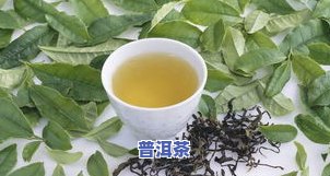 孕妇可以喝茶叶茶吗-孕妇可以喝茶叶茶吗对胎儿有作用吗