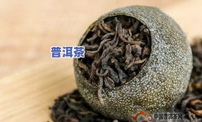 普洱茶珍和普洱茶哪个好？详解两款产品优缺点与区别