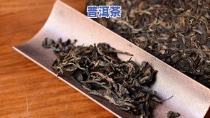 普洱茶珍和普洱茶哪个好？详解两款产品优缺点与区别