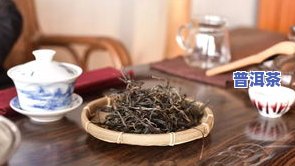 勐海县普洱茶的历史文化-勐海县普洱茶介绍