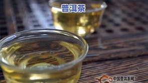 合众普洱茶-众品普洱茶