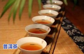 普洱茶的酶是什么意思-普洱茶中的酶