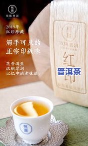 红印普洱茶开箱-红印普洱茶开箱视频