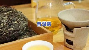 普洱茶是哪类茶-普洱茶是哪类茶叶