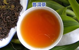 普洱茶的菌种，探索普洱茶的独特风味：揭秘其菌种的作用与影响