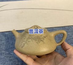 紫砂壶泡什么茶叶合适，探究紫砂壶的更佳伴侣：适合泡什么茶叶？