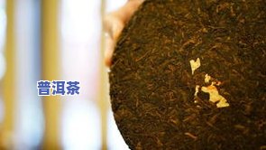 知福普洱茶好吗，探索知福普洱茶的魅力：一款值得尝试的优质茶叶