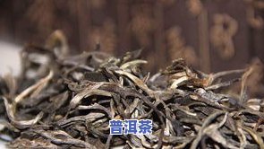 普洱茶饼保存时间：久存是否更好？