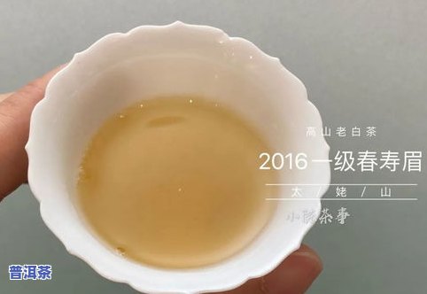 臻字号普洱茶价格、特点全解析