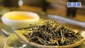 普洱茶最常见的品种是什么茶，普洱茶的常见品种：你了解多少？