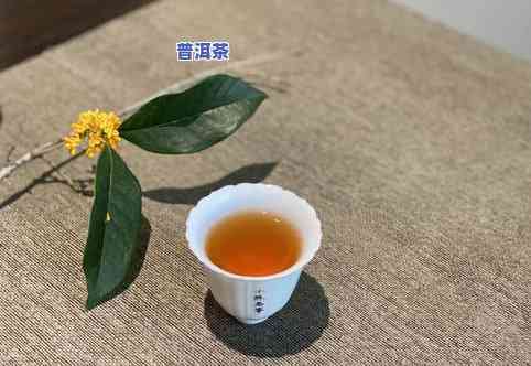 普洱茶的泡茶小知识，泡出好喝的普洱茶，你需要知道这些泡茶小知识！