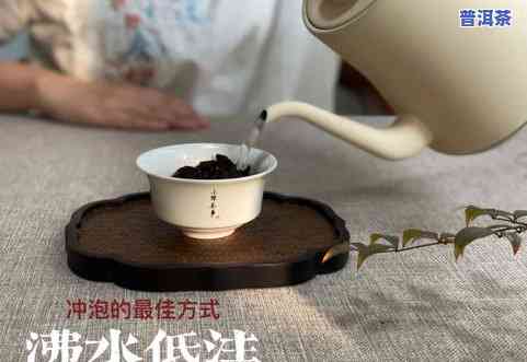 茶叶用保温杯怎么泡好喝？详细步骤大揭秘！