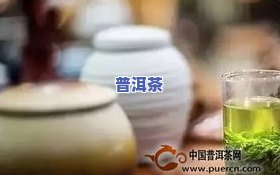 “怎样用保温杯泡出好喝的茶叶？”