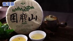 邦歪普洱茶特点，探索邦歪普洱茶的独特特点