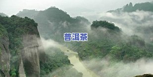 揭秘武夷山三大著名茶师：他们是谁？