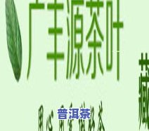 研究茶叶的师祖，探寻茶叶之源：揭秘研究茶叶的师祖及其贡献