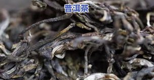 云南冰岛普洱茶：品种、特点与图片全面解析