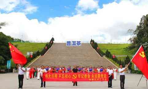 云南当地普洱茶名牌有哪些名字，探寻云南普洱茶名牌：揭秘当地知名茶叶