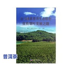 普洱茶未来发展之路，探索普洱茶的未来：发展趋势与机遇