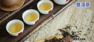 漫撒古道普洱茶-漫撒古道普洱茶价格