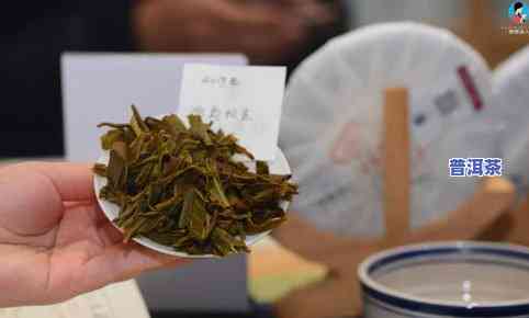 冰岛古树布朗普洱茶价格-布朗山和冰岛普洱茶有什么区别