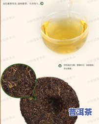 中粮甘醇普洱茶：口感如何？好喝吗？上有什么评价？