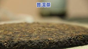 普洱茶几大名山，探秘普洱茶的四大名山：口感、历史与地理的完美结合