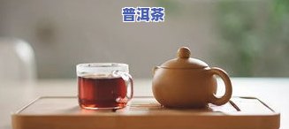 普洱茶新的好陈的好处是什么，探索普洱茶新老之别：陈年普洱茶的独特好处