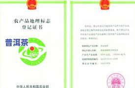 茶叶类地理标志产品是什么，探秘茶叶类地理标志产品：它们的独特之处和重要性