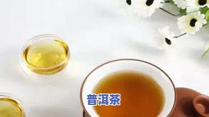 瑞兽普洱茶的少钱，探寻瑞兽普洱茶的价格：一份详细的购买指南