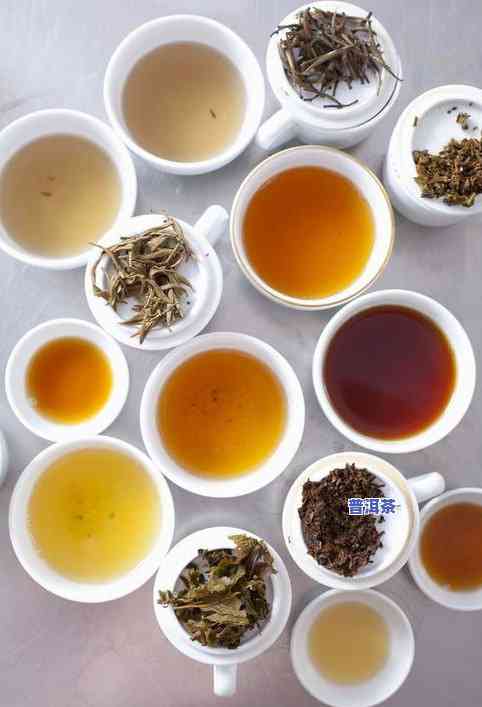 普洱茶叶：新茶与陈茶，究竟哪个更好？口感如何比较？