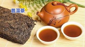 奢玛普洱茶厂：官网、地址一网打尽