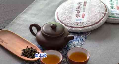 国风普洱茶，品味历史韵味，领略国风普洱茶的魅力