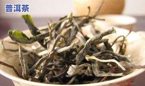 普洱茶叶多少钱？墨羽云南普洱茶价格查询