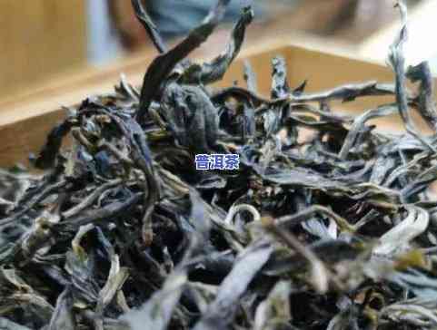 普洱茶一个茶饼多少钱啊-普洱茶一个茶饼多少钱啊图片