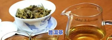 冰岛普洱茶什么样子好喝呢，探秘冰岛普洱茶：如何挑选口感更佳的茶叶？