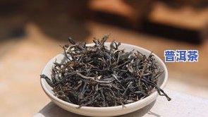 一棵普洱茶树产多少斤茶叶，揭秘：一棵普洱茶树能产出多少斤茶叶？