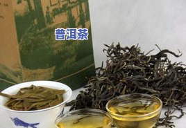 普洱茶的叶子图片大全，探索普洱茶的魅力：欣赏全系列茶叶叶片图片大全