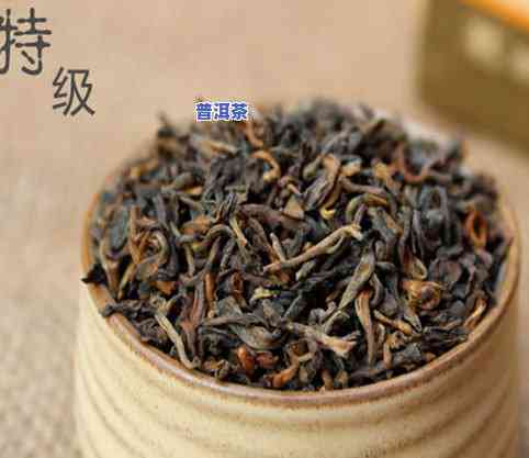 普洱茶的叶子图片大全，探索普洱茶的魅力：欣赏全系列茶叶叶片图片大全